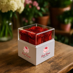 Acrylic Signs – Forever Natural Flowers Gift Box White & Clear Acrylic Lid , 4Pcs Long Life Roses | Custom Packaging Printing | Free Design Support | Yalla Printing UAE