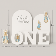 Peter Rabbit First Birthday Foam Board Display Set – 3D Letters + Custom Backdrops for Baby Event Decor in UAE