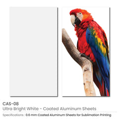 Coated Aluminum Sheets For Indoor & Outdoor Display | Custom Packaging Printing | Free Design Support | Yalla Printing UAE