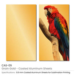 Coated Aluminum Sheets For Indoor & Outdoor Display | Custom Packaging Printing | Free Design Support | Yalla Printing UAE