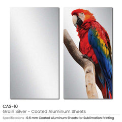 Coated Aluminum Sheets For Indoor & Outdoor Display | Custom Packaging Printing | Free Design Support | Yalla Printing UAE