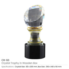 Custom Printed Crystal Trophy In Wooden Box | Custom Packaging Printing | Free Design Support | Yalla Printing UAE