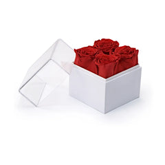 Acrylic Signs – Forever Natural Flowers Gift Box White & Clear Acrylic Lid , 4Pcs Long Life Roses | Custom Packaging Printing | Free Design Support | Yalla Printing UAE