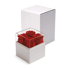 Acrylic Signs – Forever Natural Flowers Gift Box White & Clear Acrylic Lid , 4Pcs Long Life Roses | Custom Packaging Printing | Free Design Support | Yalla Printing UAE