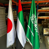 2m VIP Flag Pole with Premium Double-Sided Conference Flag (100x150 cm)