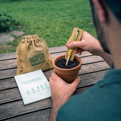 Custom Printed Sustainable Plant A Seed Gift Set Gs - 061 | Logo Branding Corporate Gift | UAE Delivery | Yalla Printing UAE