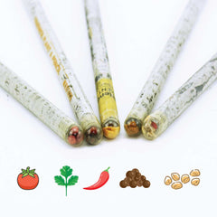 Custom Printed Plantable A Pencils Set | Exhibitions, Conferences, Corporate Events | Yalla Printing UAE