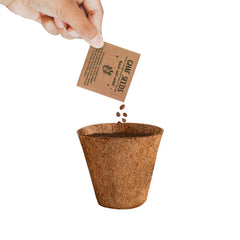 Custom Printed Plantable Kit With Ghaf Seeds In Kraft Box | Exhibitions, Conferences, Corporate Events | Yalla Printing UAE