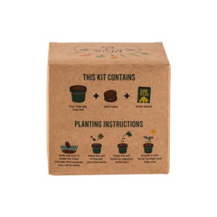 Custom Printed Plantable Kit With Ghaf Seeds In Kraft Box | Exhibitions, Conferences, Corporate Events | Yalla Printing UAE