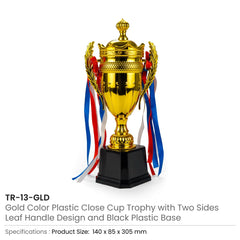 Trophies – Small Cup Trophy with Removable Ribbon Attached to Both Handles | Custom Packaging Printing | Free Design Support | Yalla Printing UAE