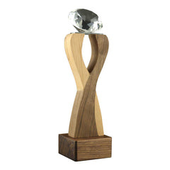 Custom Printed Wooden Crystal Trophy | Custom Packaging Printing | Free Design Support | Yalla Printing UAE