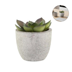 CAMAS – Artificial Succulent Plant in Pulp Pot | Custom Packaging Printing | Free Design Support | Yalla Printing UAE