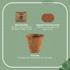 Custom Printed Eco - Neutral® All - In - One Plant Grow Kit | Exhibitions, Conferences, Corporate Events | Yalla Printing UAE