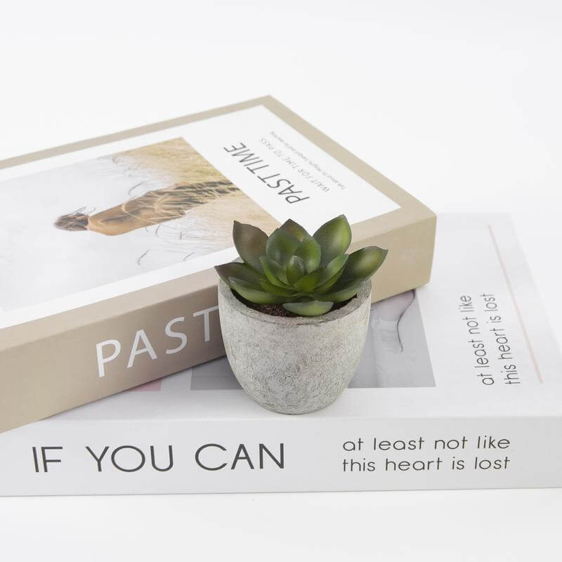 CAMAS – Artificial Succulent Plant in Pulp Pot | Custom Packaging Printing | Free Design Support | Yalla Printing UAE