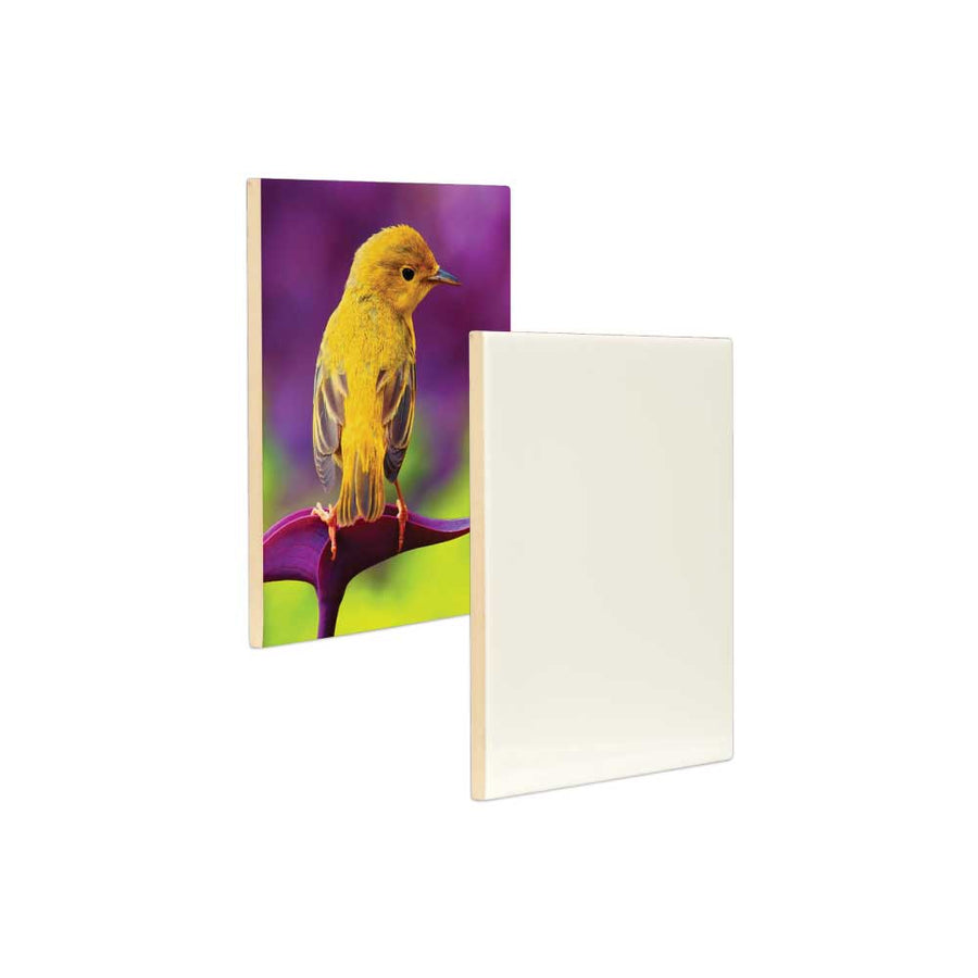 Sublimation Ceramic Tile 15 x 20cm (SKU 164)